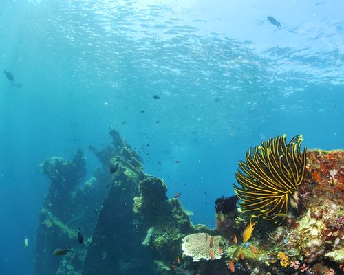 Taucher und Wracks Taucher und Wracks